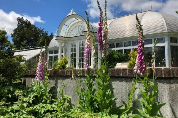 Reynolda Gardens conservatory and flowers